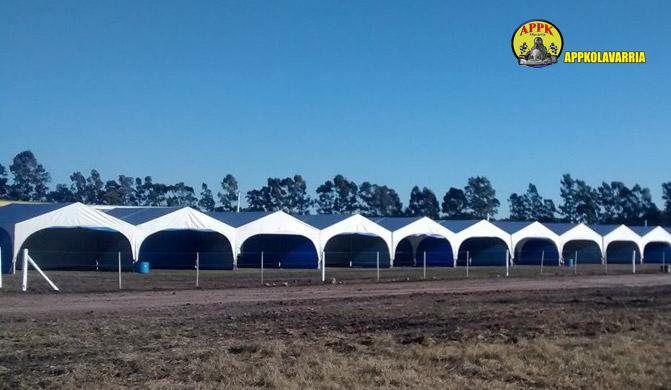 Las carpas ya están instalas en el AMCO